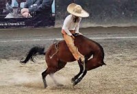 /album/charros/images-5-jpg/